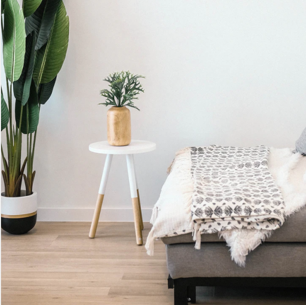 Gallery Image - Living room with Plants